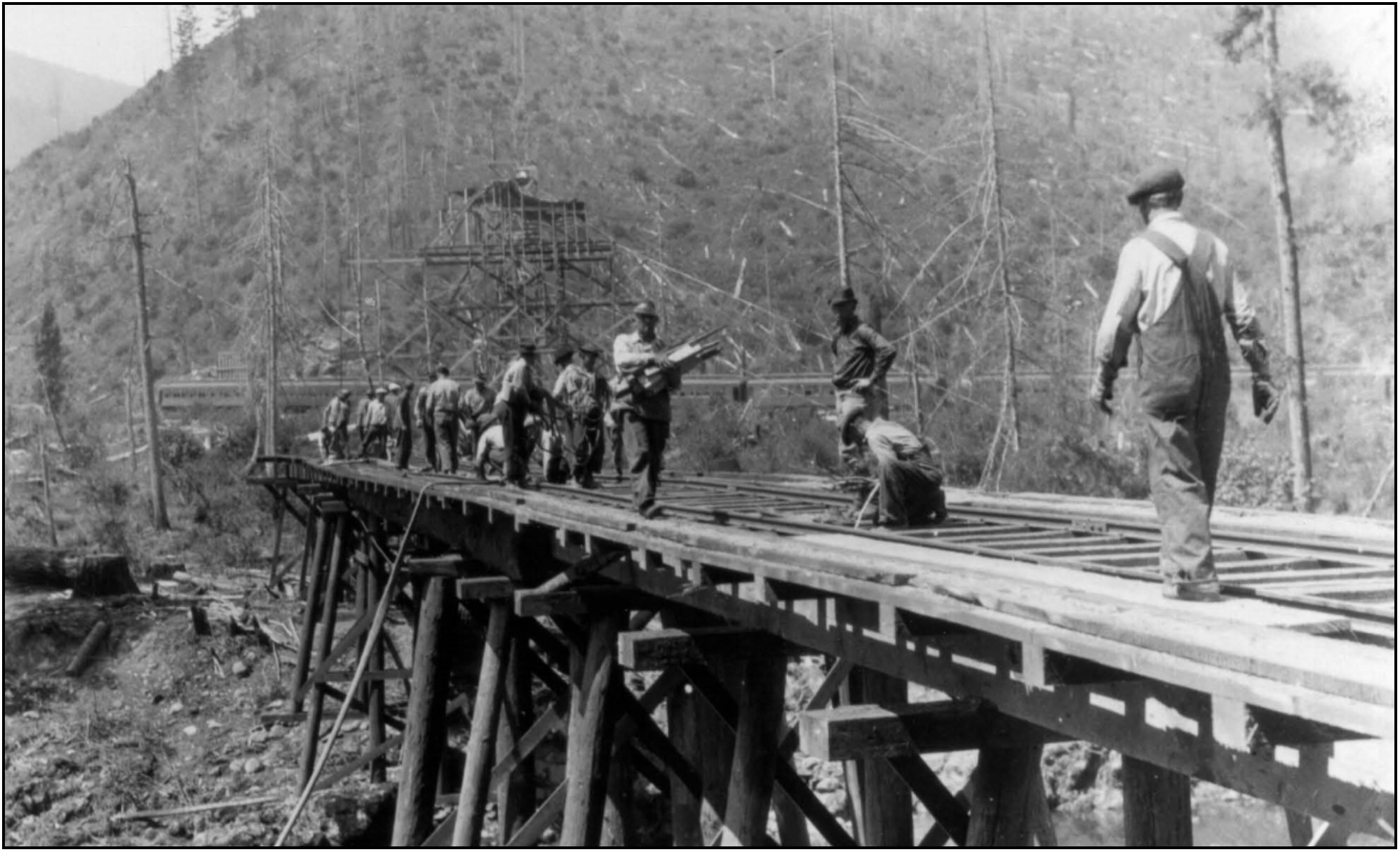 Buster on bridge