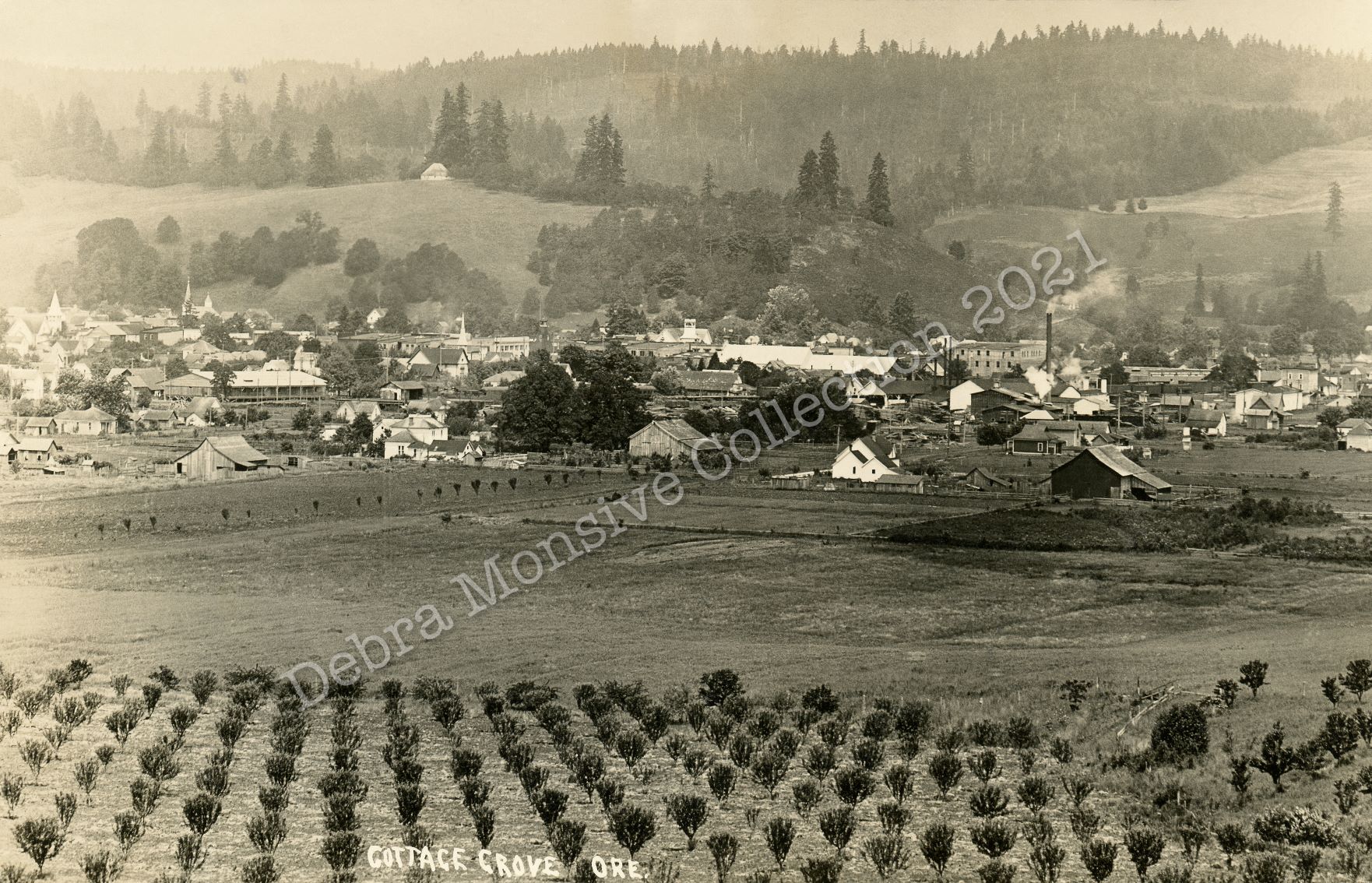 Postcard No 25 View from Knox Butte c.1912