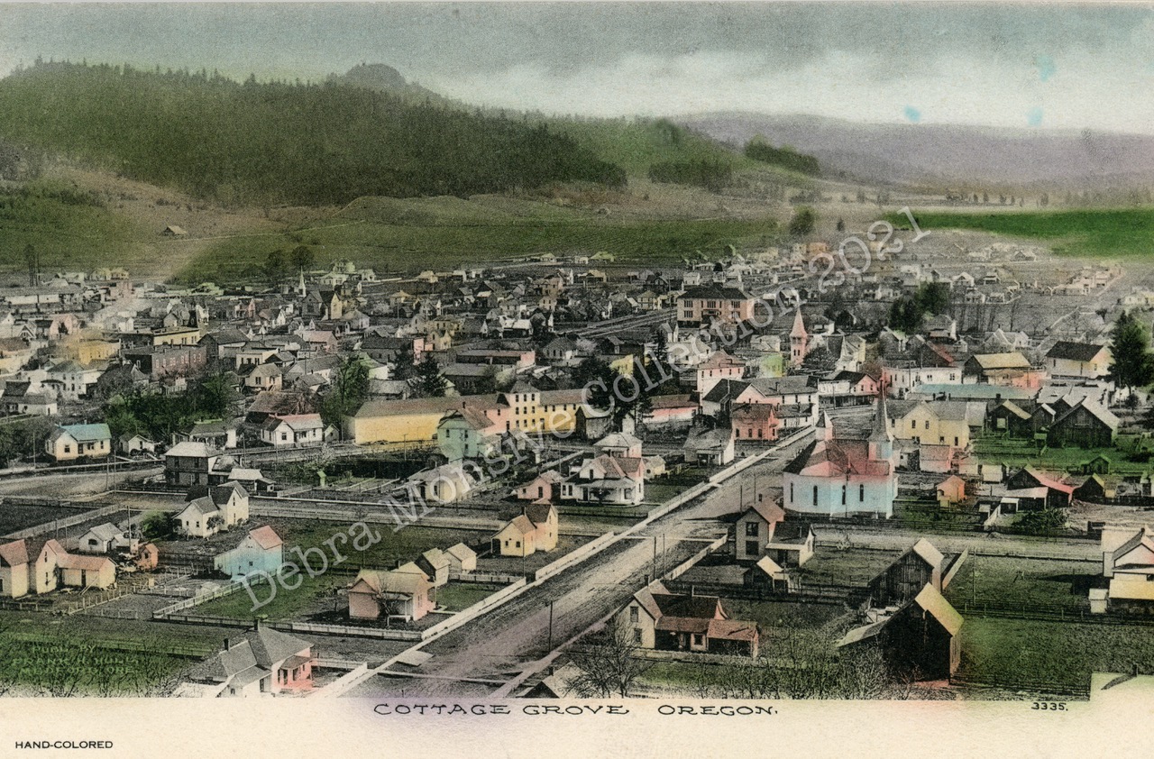 Hand colored view from Mt David circa 1906