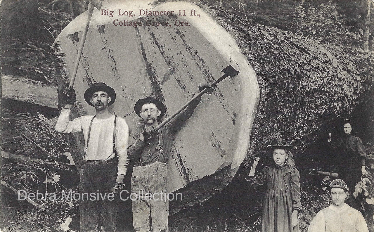 Postcard Number 41 Local Logging