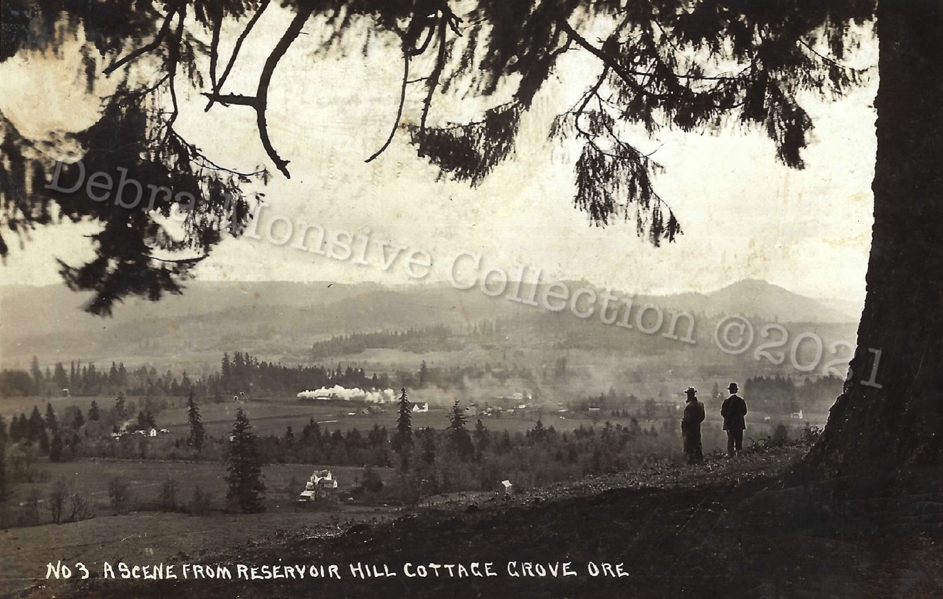 View from Mt. David circa 1915